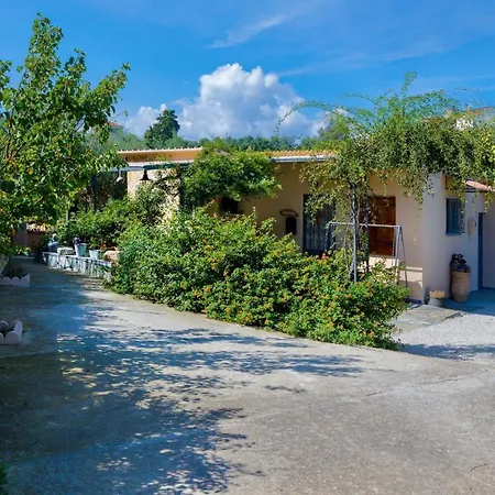 The Olive House